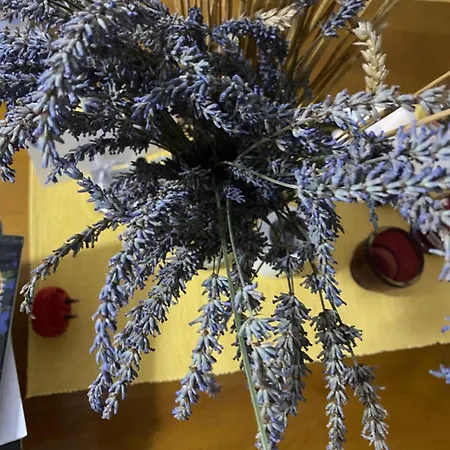 Rupa Vendégház Theth