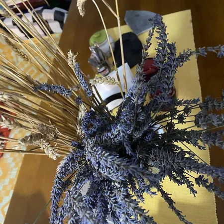 Rupa Vendégház Theth