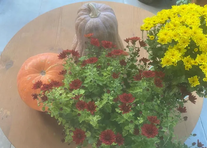 Rupa 게스트하우스 *