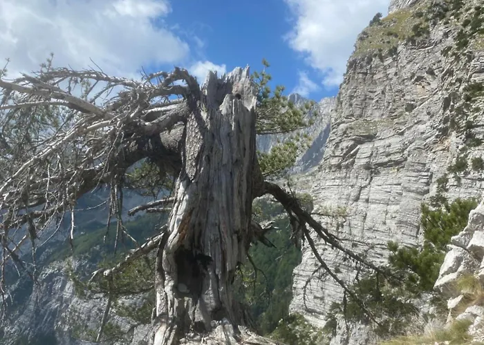 بيت ضيافة Rupa *