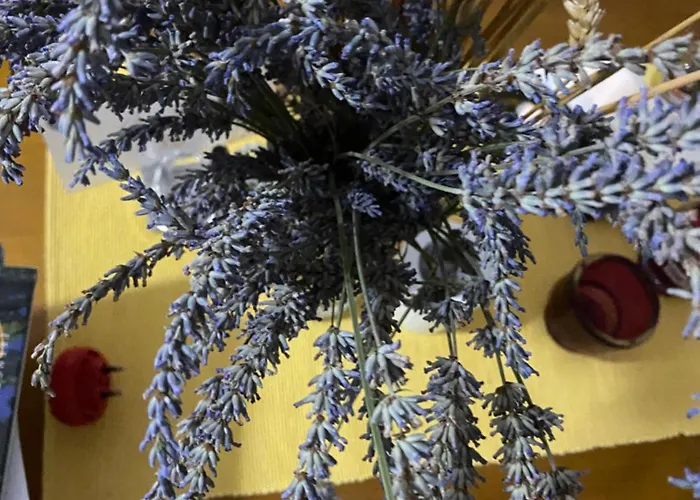 Rupa Guest house Theth